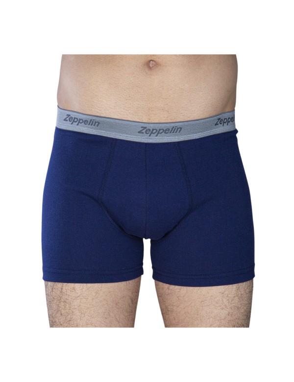 Calzoncillo Shortis