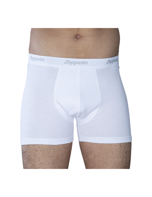 Calzoncillo Shortis