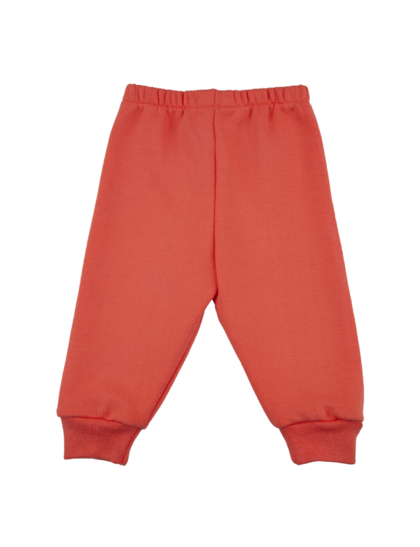 Pants Con Puño Sólido