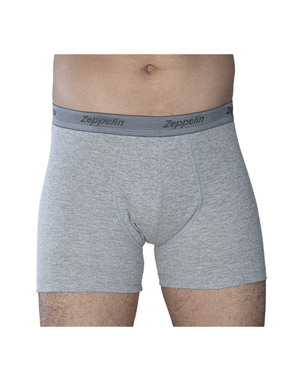 Calzoncillo Shortis